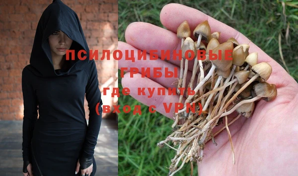 прущая мука Магас