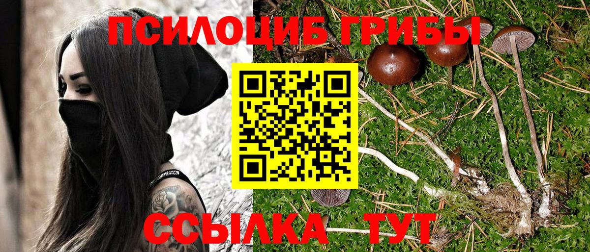 Псилоцибиновые грибы ЛСД  Псилоцибиновые грибы Psilocybine cubensis  Лысьва 